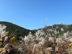 -龙洞风景区-藏龙涧