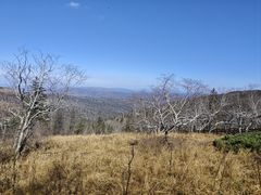 -凤凰山国家森林公园