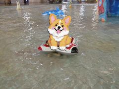 -南宫温泉水世界