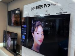 -小米之家汽车(永旺梦乐城店)