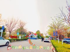 -唐岛湾公园