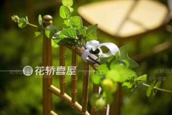 -花轿喜屋婚礼策划