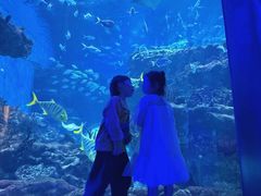 -海合安成都极地海洋公园
