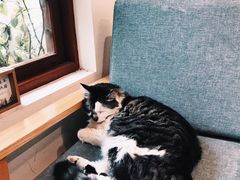 -猫的天空之城概念书店(苏州平江店)
