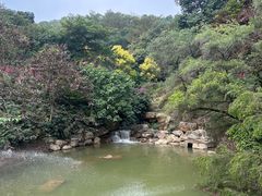 -广州市帽峰山景区
