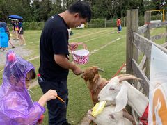 -前小桔亲子创意农场·草莓采摘·露营烧烤