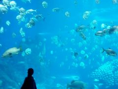 -广东省拱北口岸中国旅行社(华宾营业部)