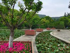 -白马涧龙池景区