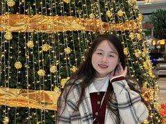 -武汉洲际酒店