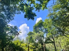 -玉渡山自然风景区