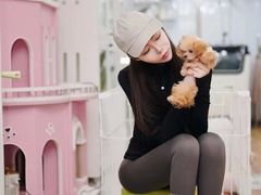 -青奢宠物·青奢猫舍