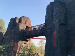 -清境桃源