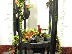 -FEI FEI FLOWER鲜花店·气球派对·宝宝宴布置(虹口德必运动Loft店)