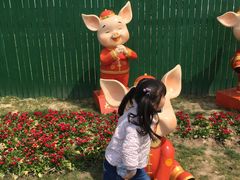 -菊园百果园
