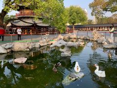 -龙华寺