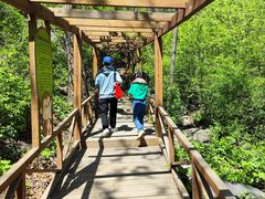 -大岭沟猕猴桃谷风景区