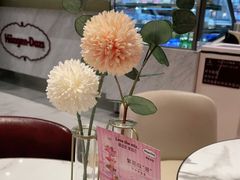 -哈根达斯(SM店)