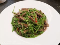 -东哥紫阳蒸盆子(旺座·现代城店)