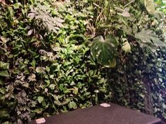 -外婆家(杭州马塍店·杭帮菜名店)