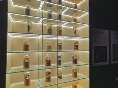 -广东中医药博物馆