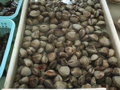 -大湾区中央湿地公园-十九涌