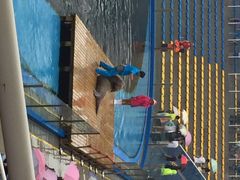 圣蓝海洋公园-北戴河圣蓝海洋公园