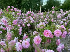 -长春公园(普阳街道)