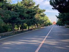-北陵公园