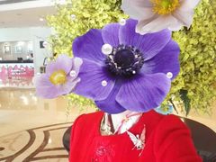 -广州珀丽酒店
