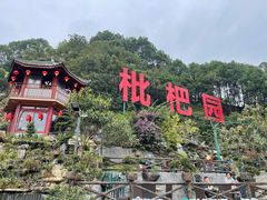 -枇杷园食为鲜火锅(南山店)