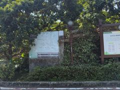 -大屏嶂森林公园