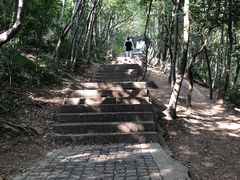 -紫金山山顶公园