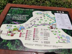-野象谷景区