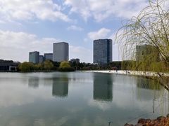 -大宁公园