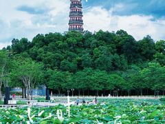 -顺峰山公园
