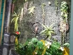 -云山灶.现炒云南菜(云大店)