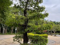 -深圳国际园林花卉博览园