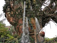 -奥兰多迪士尼动物王国乐园