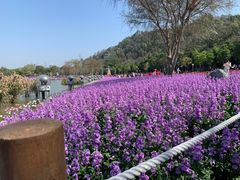 -顺峰山公园