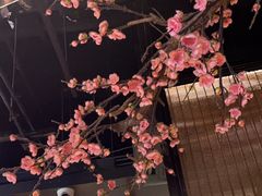 -老板恋上鱼(高新万达店)