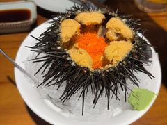 -晶吉·居酒屋·烧鸟·生鱼饭(中山区民主广场店)