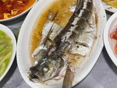 -小六农家乐(崇明西沙湿地店)