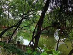 -房湖公园