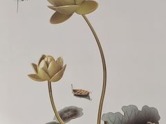 -滨少旺厨(惠福西路店)
