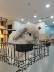-Moni星球萌宠·小马宝莉·灵蛇·高端高阶全萌宠互动体验俱乐部(红豆国际广场店)