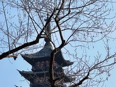 -上海方塔园