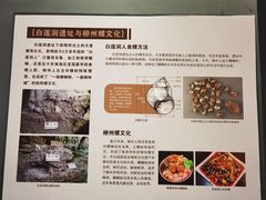 -柳州白莲洞洞穴科学博物馆