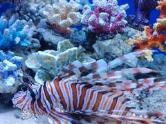 -多彩贵州城极地海洋世界