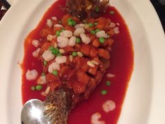 松鼠桂鱼-福1039(愚园路店)