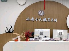 -西安小天鹅艺术团(金花路校区)